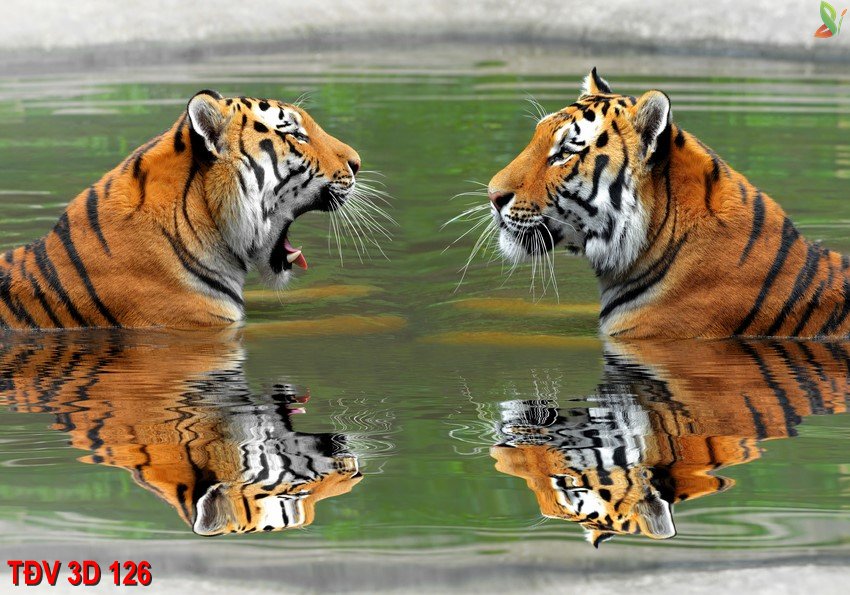 TÐV 3D 126 - Tranh động vật 3D TÐV 3D 126