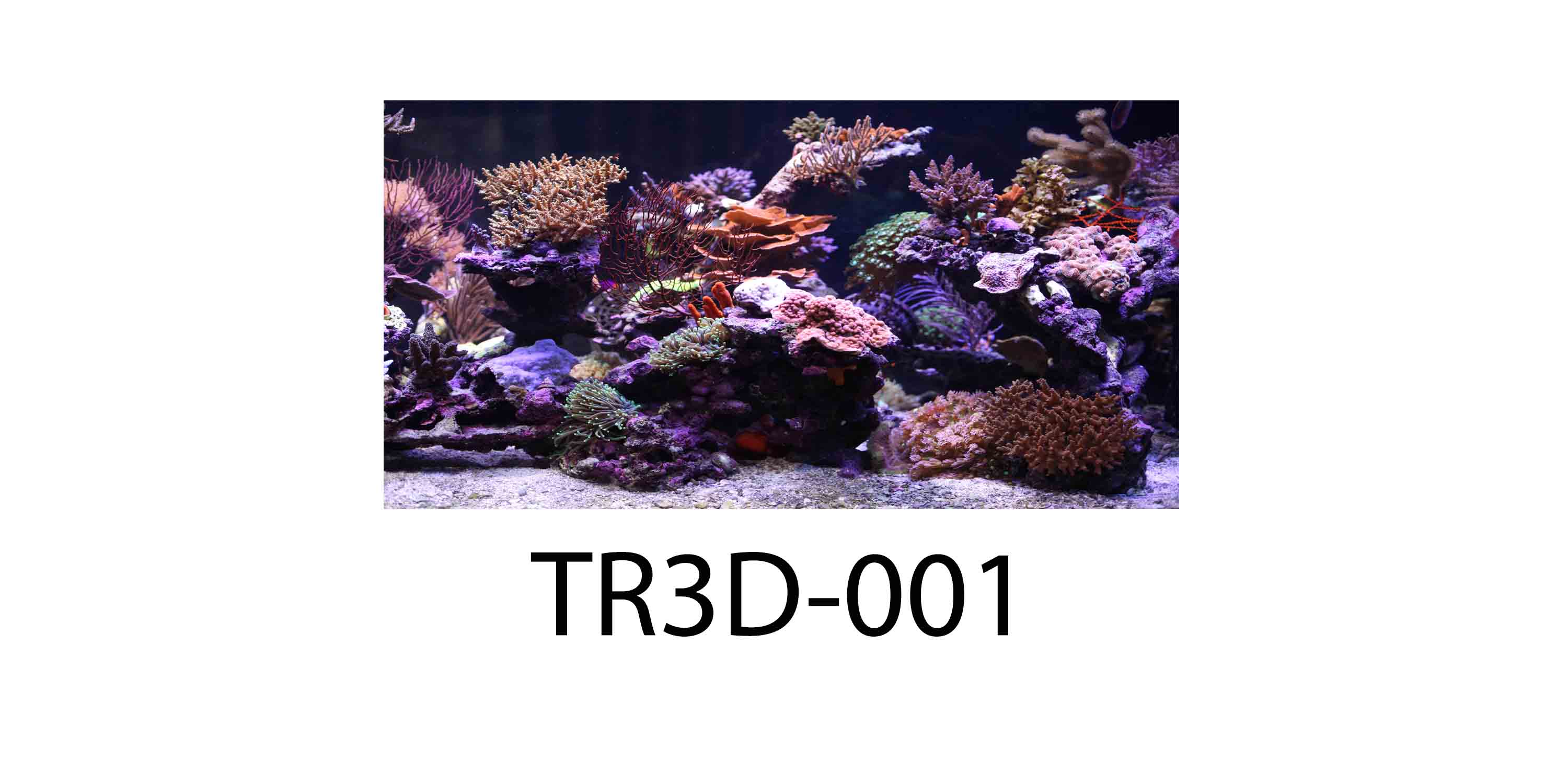 001 - Tranh hồ cá TR3D-001