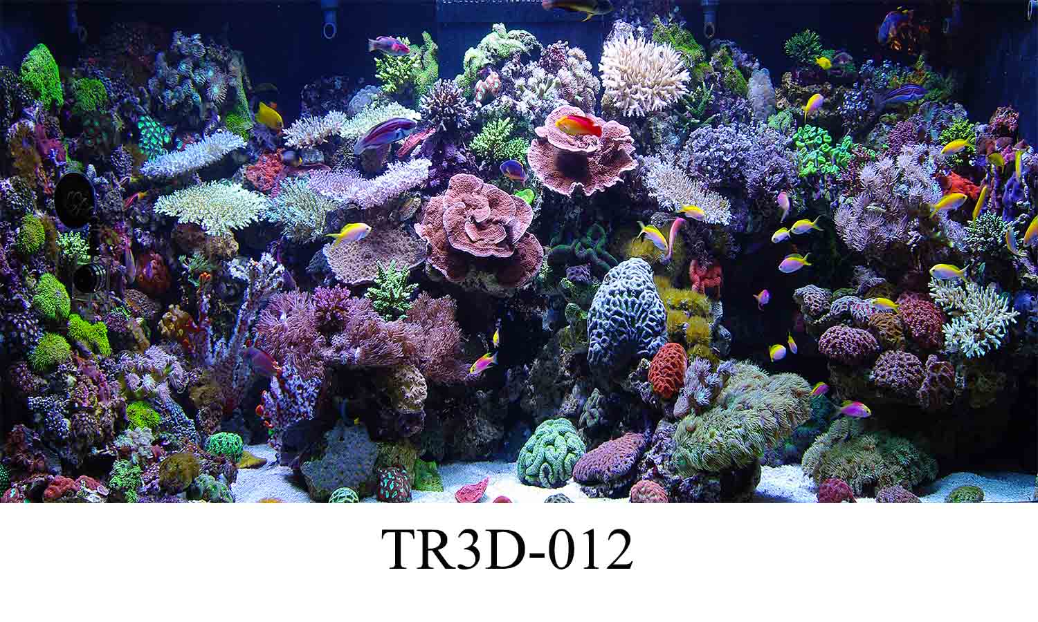 012 - Tranh hồ cá TR3D-012