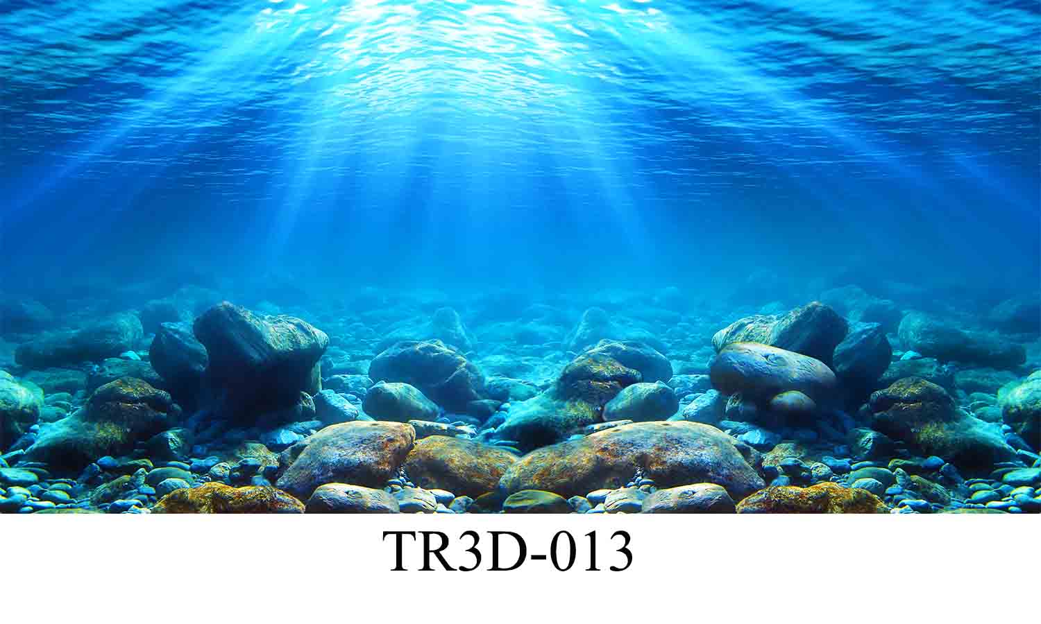013 - Tranh hồ cá TR3D-013