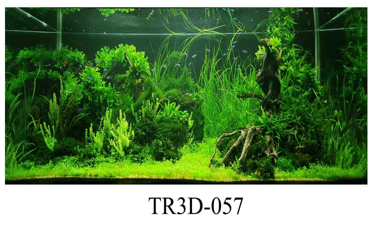 tranh 3d hồ cá 2 1200x720 - Những mẫu tranh 3d hồ cá đẹp nhất năm 2020